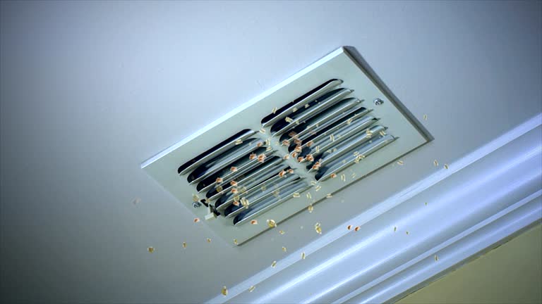 Best Commercial HVAC Duct Cleaning  in East Dubuque, IL