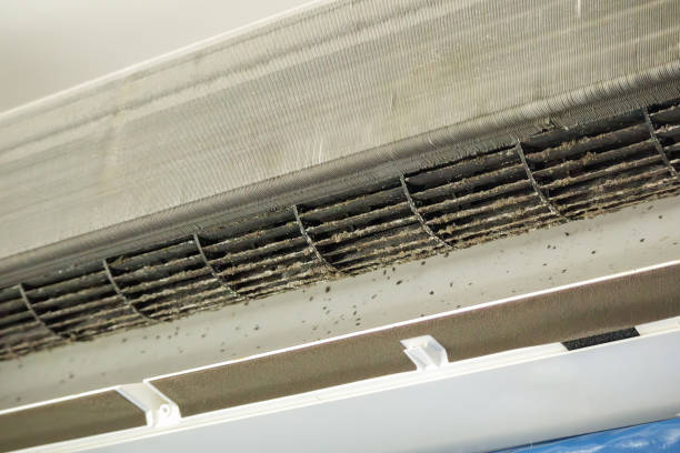 Best Duct Cleaning Specialists  in East Dubuque, IL