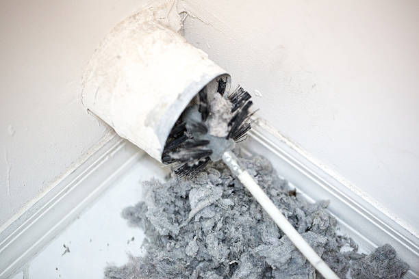 Best Ductwork Cleaning Services  in East Dubuque, IL